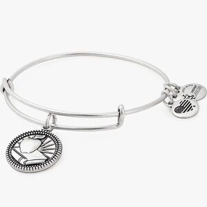 NWT Alex and Ani Teacher Charm Bangle Bracelet